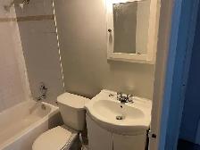 Bright 1 or 2 Bedroom Apartment for Rent - Photo 7