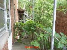 NDG, beau, tres grand 3 ½ Metro Snowdon, Villa Maria, Septembre - Photo 9