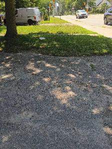 Prebook For Fall Cleanup and Snow Removal