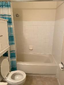Unfurnished 2 bed, 1 bath top floor unit - Photo 8