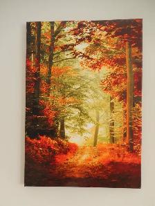 TOILE TENDUE D'AUTOMNE. SJ