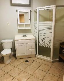A beautiful bedroom/parking near UTM for rent - Photo 9