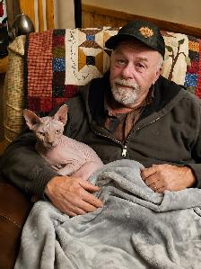 Hairless Cat Rehoming