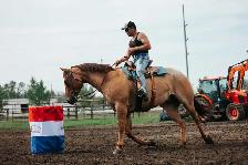 BIG ROAN BARREL PROSPECT - Photo 2