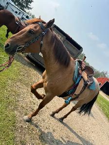 BIG ROAN BARREL PROSPECT - Photo 3