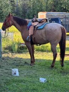 BIG ROAN BARREL PROSPECT - Photo 4