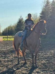 BIG ROAN BARREL PROSPECT - Photo 5