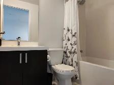 Room for rent - Vaughan - VMC TTC Zum YRT Wonderland - Photo 5