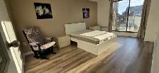 Freshly Renovated Open-Concept 2-Bedroom Condo in Downtown Hull - Photo 2