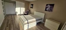 Freshly Renovated Open-Concept 2-Bedroom Condo in Downtown Hull - Photo 21