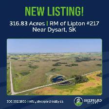 2 Quarters of Grain Land | RM of Lipton # 217 | Near Dysart, SK