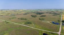 2 Quarters of Grain Land | RM of Lipton # 217 | Near Dysart, SK - Photo 4