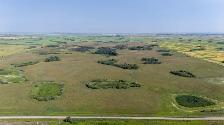 2 Quarters of Grain Land | RM of Lipton # 217 | Near Dysart, SK - Photo 5