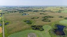 2 Quarters of Grain Land | RM of Lipton # 217 | Near Dysart, SK - Photo 6