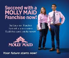 Own an Established MOLLY MAID Franchise in Whitby! - Photo 5