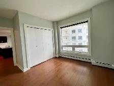 ICON II CONDO FOR RENT IN DOWNTOWN EDMONTON - Photo 5