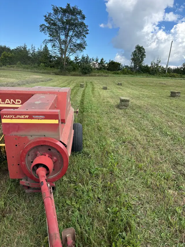 hay 2nd cut
