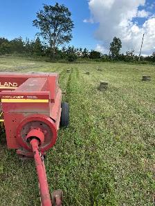 hay 2nd cut