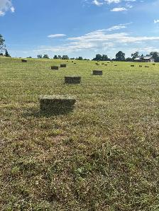 hay 2nd cut - Photo 2
