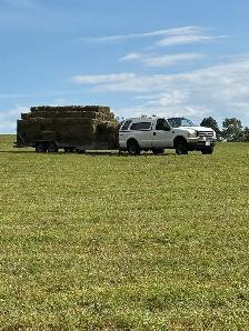 hay 2nd cut - Photo 3
