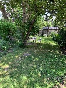 Unfurnished room SharedHouse near Dufferin Subway - Photo 6