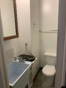 Bachelar/Lge Room with kitchenette and bath@Wilson Subway Stn - Photo 6