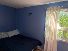 LARGE SPACIOUS ROOM IN CENTRAL LOCATION UTILITIES INCLUDED - Photo 2
