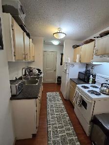 1 Bedroom Appartment for rent near TRU - Photo 6