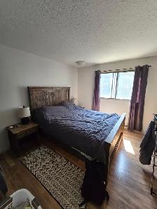 1 Bedroom Appartment for rent near TRU - Photo 8