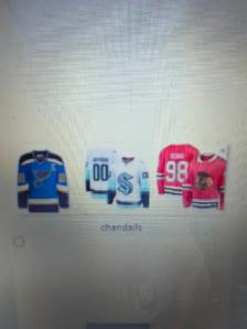 CHANDAILS DE HOCKEY EN SUBLIMATION - Photo 6