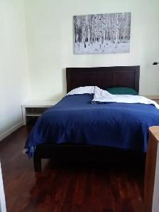 Nice confy and bright room, 300 meters from Rosemont metro - Photo 5