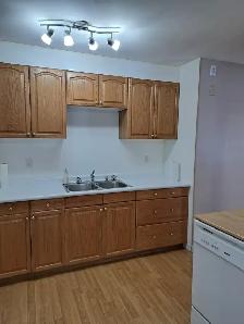Perfect for Students or Families! 2‑Bed Main Floor – Allendale - Photo 10