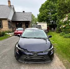 Toyota Corolla LE 2024 — Bleu foncé — 27 411 km — 25 999 $ - Photo 2