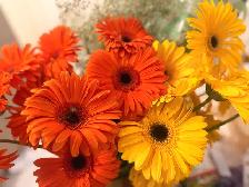 flower bouquets - Photo 3