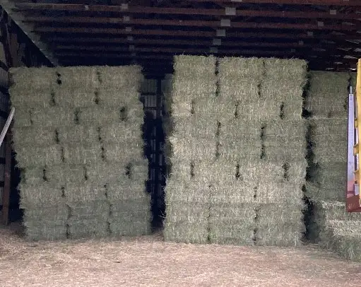 EXCELLENT QUALITY HORSE HAY