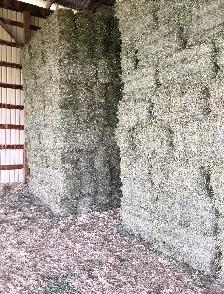 EXCELLENT QUALITY HORSE HAY - Photo 2