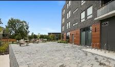1 Bed 1 Bath - Apartment - Photo 2