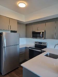 1 Bed 1 Bath - Apartment - Photo 7