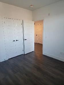 1 Bed 1 Bath - Apartment - Photo 9