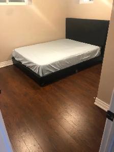 New 1br basement apartment for rent midland/kingston rd - Photo 4