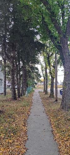 Camrose Room for Rent - Photo 7