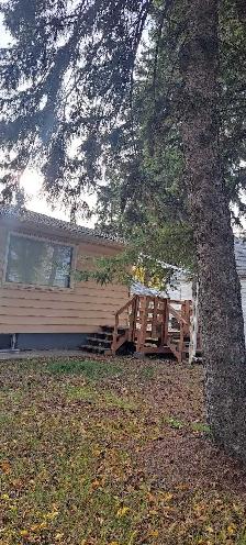 Camrose Room for Rent - Photo 8