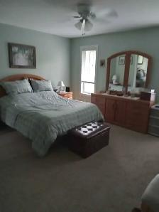 Beautiful house on 3 acres - Photo 8