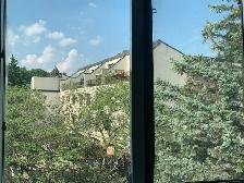 Bright Room near Seneca College - Photo 3
