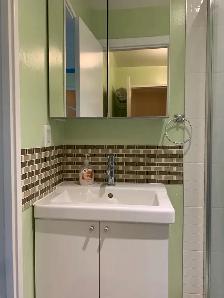Bright Room near Seneca College - Photo 4