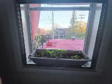 Apartment (3 ½) for rent - Photo 10