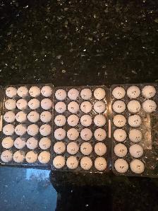 Amazing Vice used golf balls: $12/Dozen