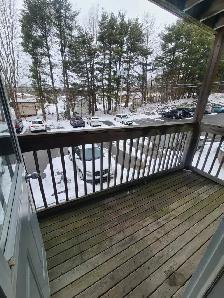 Spacious 2BR w/ In-Suite Laundry - 96 North St Unit 214 - Sep 1 - Photo 7