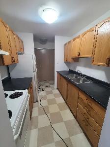 Spacious 2BR w/ In-Suite Laundry - 96 North St Unit 214 - Sep 1 - Photo 13