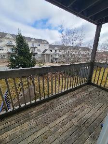 Spacious 2BR w/ Dishwasher - 96 North St (Unit 203 & 304) - Oct - Photo 8